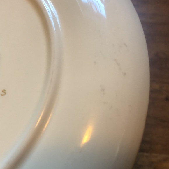 Pretty French Saxon China Plate - Picture 7 of 7